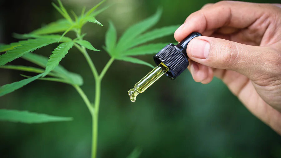 Quels sont les effets du CBD sur la santé ?